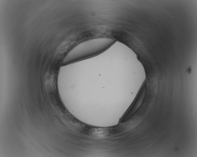 X0000114720088200912021205