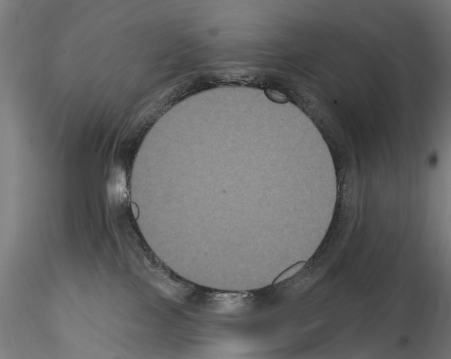 X0000114720089200912021205