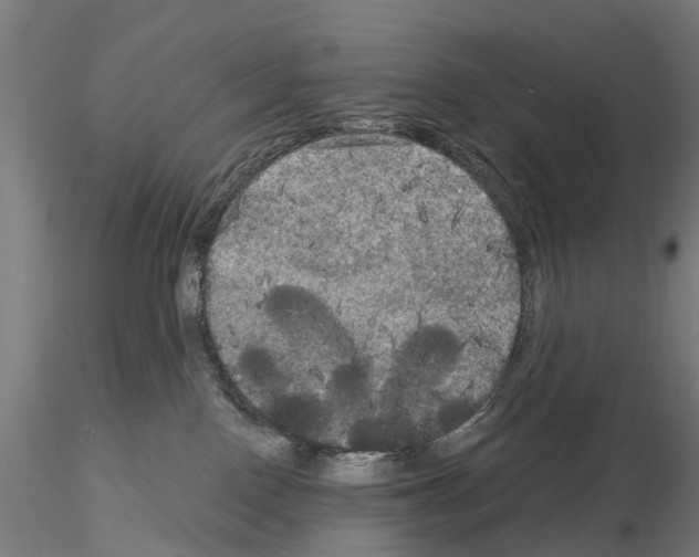 X0000114720090200912021205