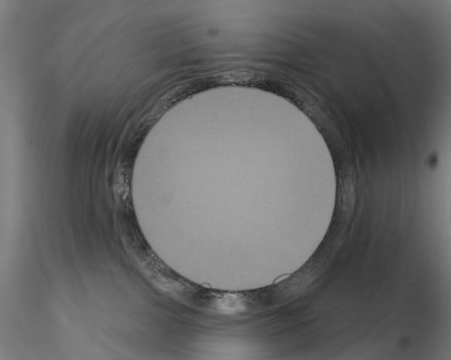 X0000114720091200912021205