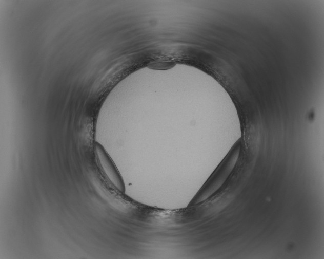 X0000114720092200912021205