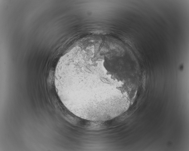 X0000114720093200912021205