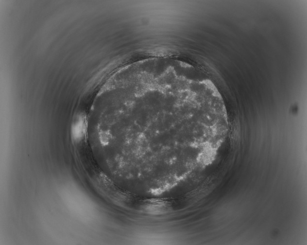 X0000114720095200912021205