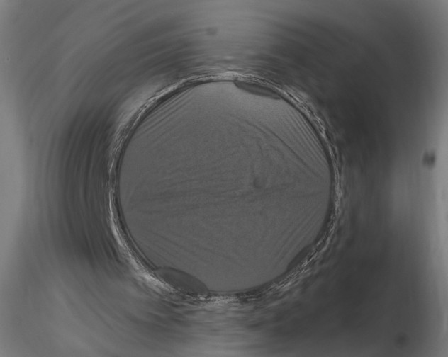 X0000114720097200912021204