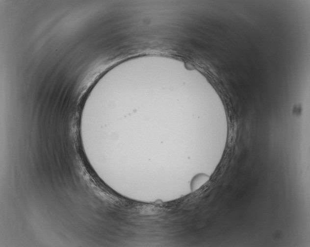 X0000114720098200912021204