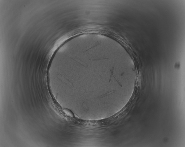 X0000114720099200912021204