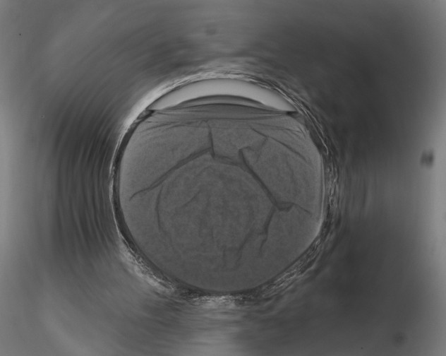 X0000114720100200912021204