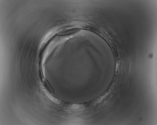 X0000114720101200912021204