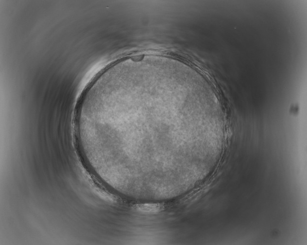 X0000114720102200912021204