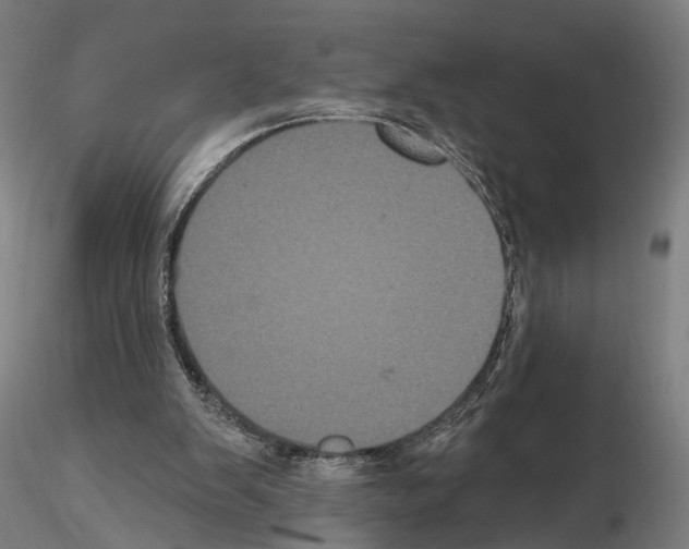 X0000114720103200912021204