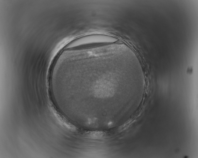 X0000114720104200912021204