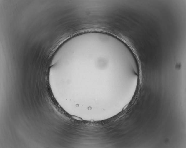 X0000114720105200912021204