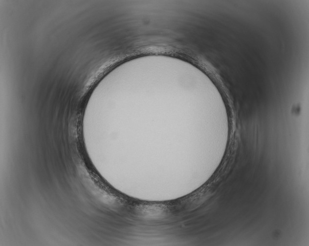 X0000114720106200912021204