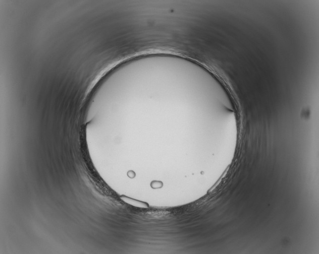 X0000114720108200912021204