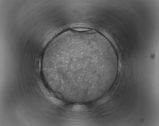 X0000114720109200912021204