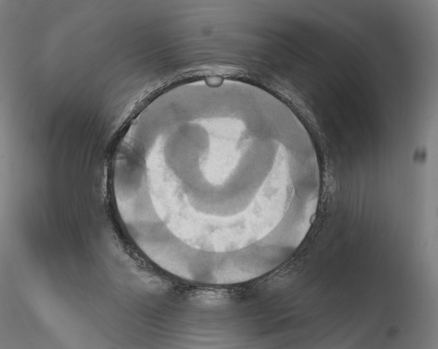 X0000114720110200912021204