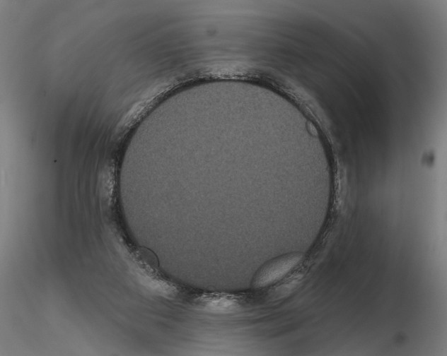 X0000114720113200912021204