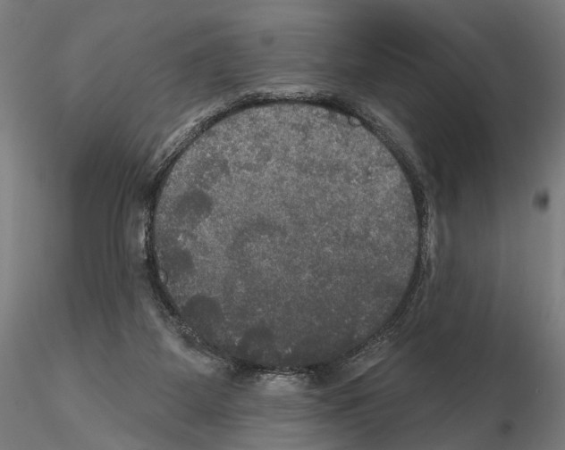 X0000114720115200912021204