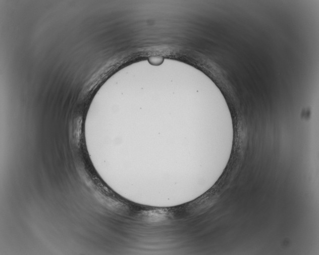 X0000114720118200912021204