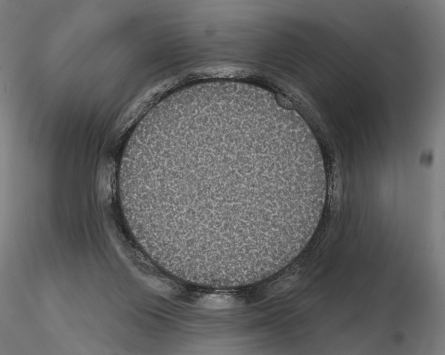 X0000114720119200912021204