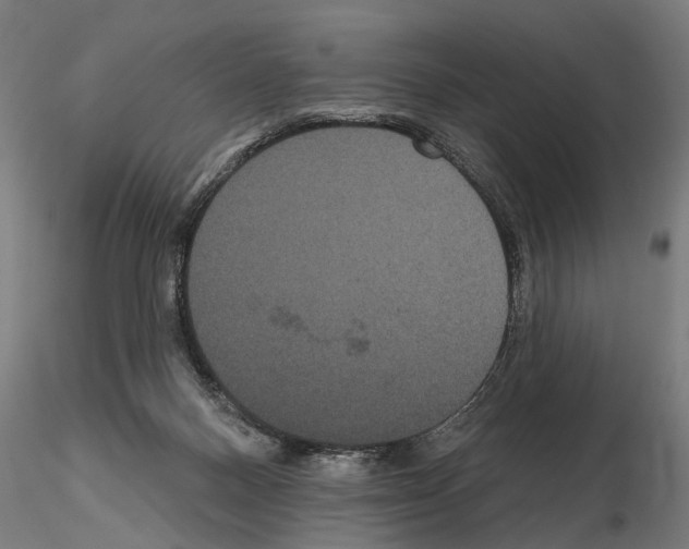 X0000114720120200912021204