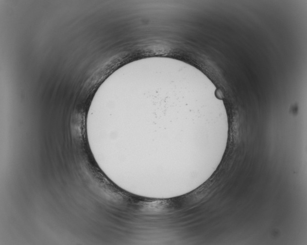 X0000114720122200912021204