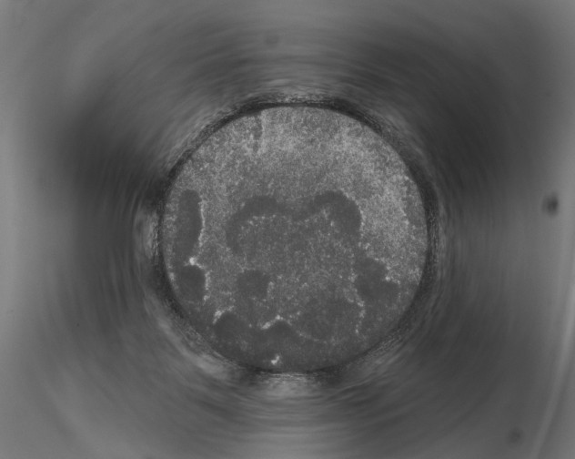 X0000114720123200912021204