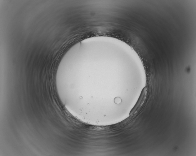 X0000114720129200912021204