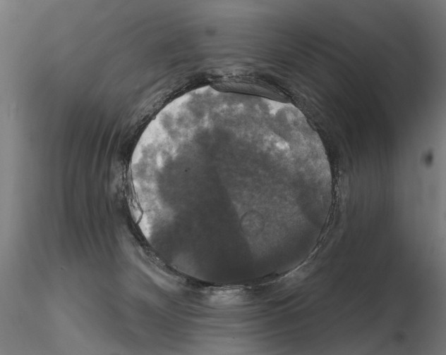 X0000114720132200912021203