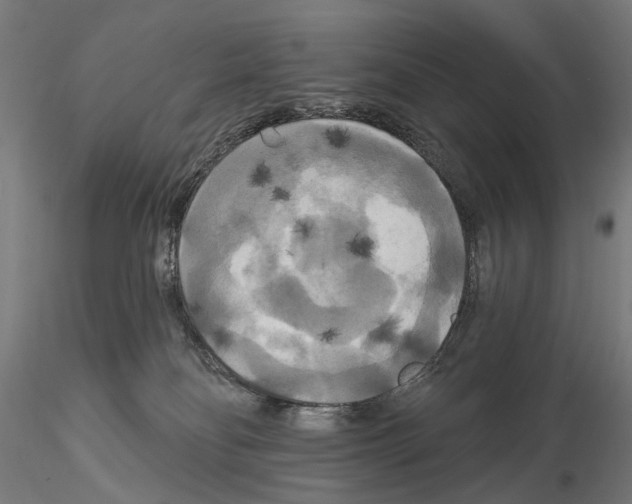 X0000114720134200912021203