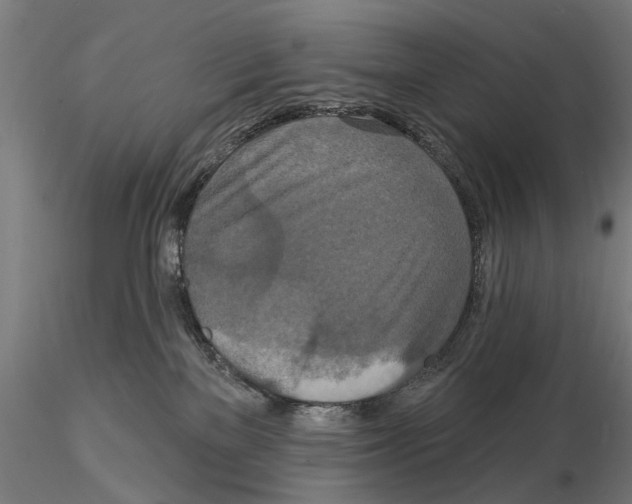 X0000114720137200912021203