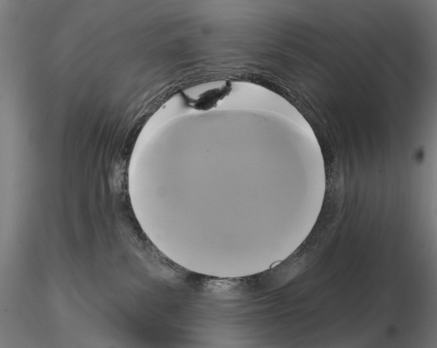 X0000114720139200912021203