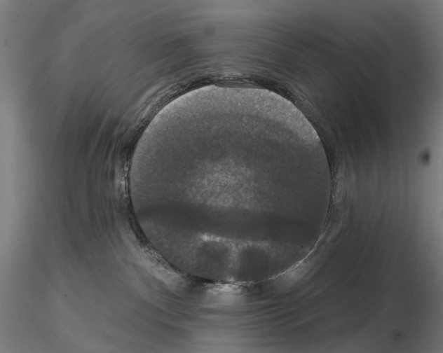 X0000114720140200912021203