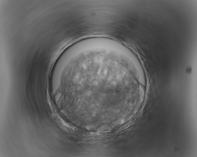 X0000114720145200912021203