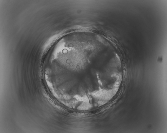 X0000114720149200912021203