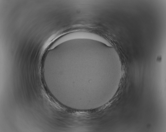 X0000114720150200912021203