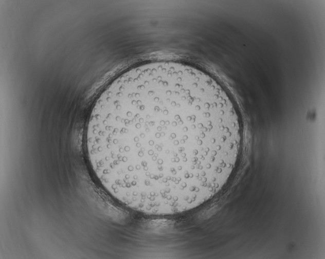 X0000114720153200912021203