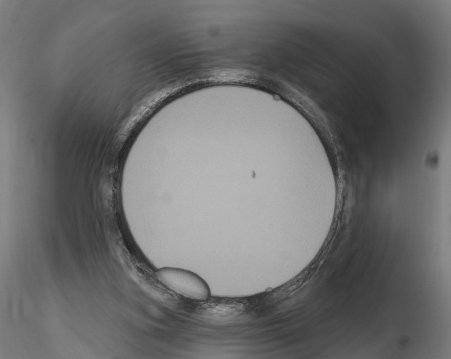 X0000114720155200912021203