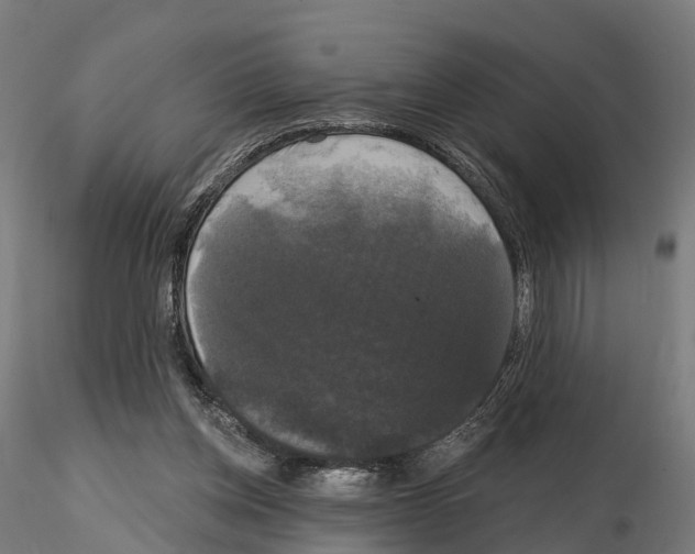 X0000114720158200912021203