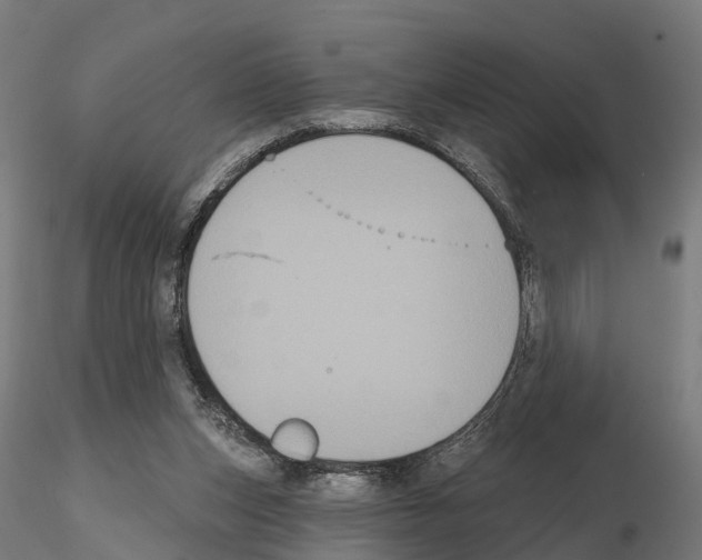 X0000114720159200912021203