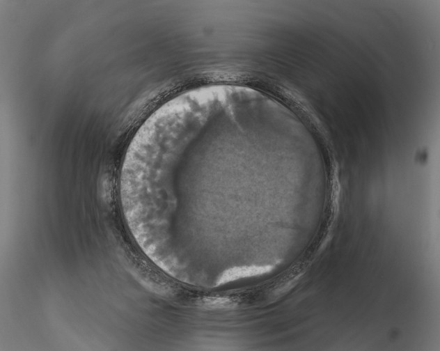 X0000114720161200912021203