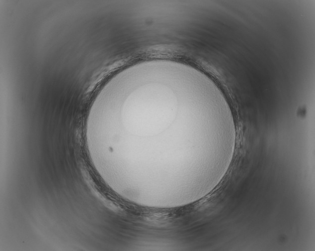 X0000114720162200912021203