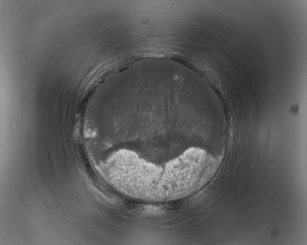 X0000114720166200912021203