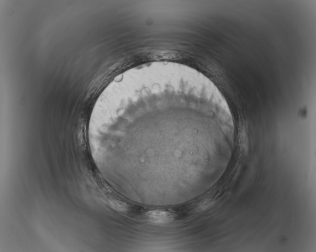 X0000114720169200912021203