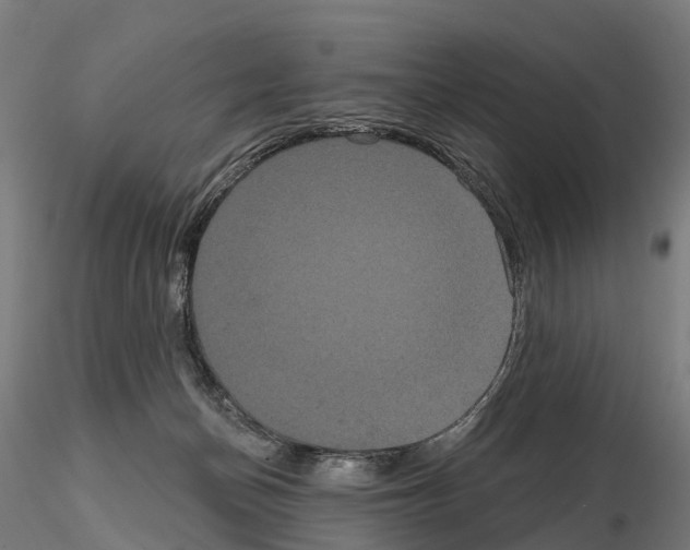 X0000114720174200912021203