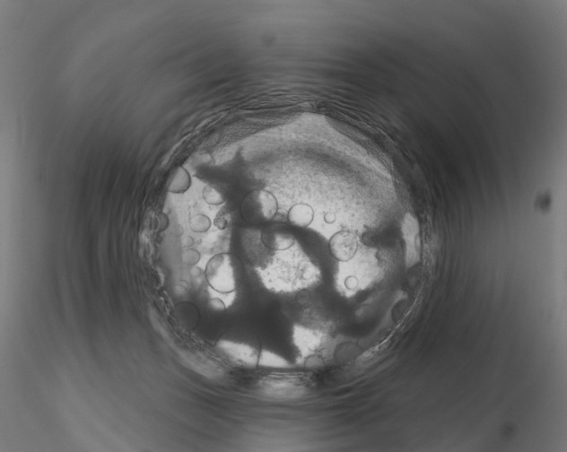 X0000114720175200912021203