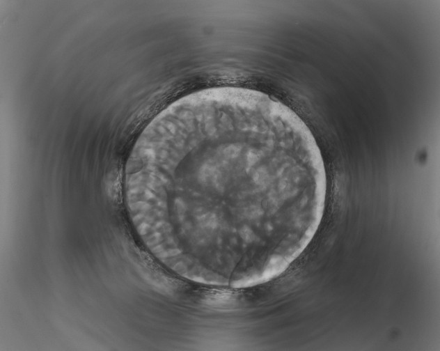 X0000114720177200912021203