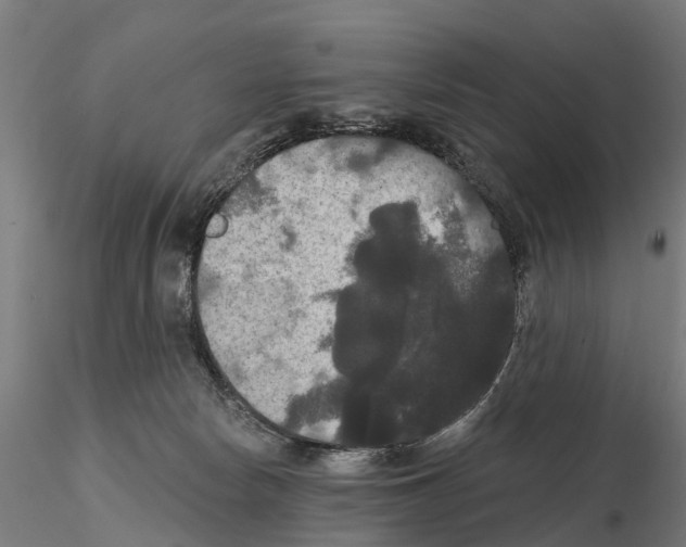 X0000114720178200912021203