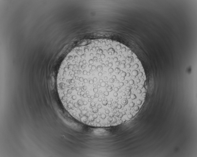 X0000114720183200912021203