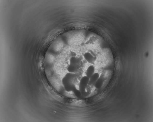 X0000114720185200912021203